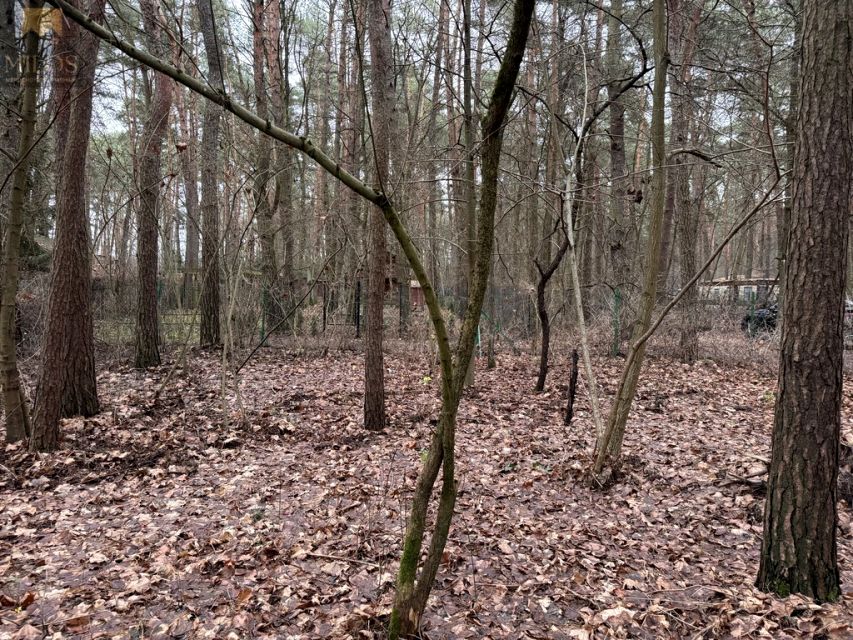Działka leśna sprzedam