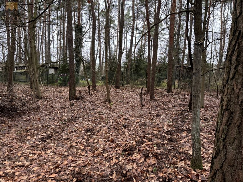 Działka leśna Sikory