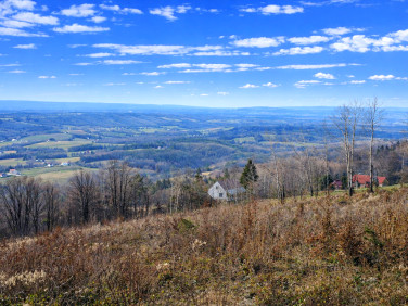 Działka Wola Lubecka