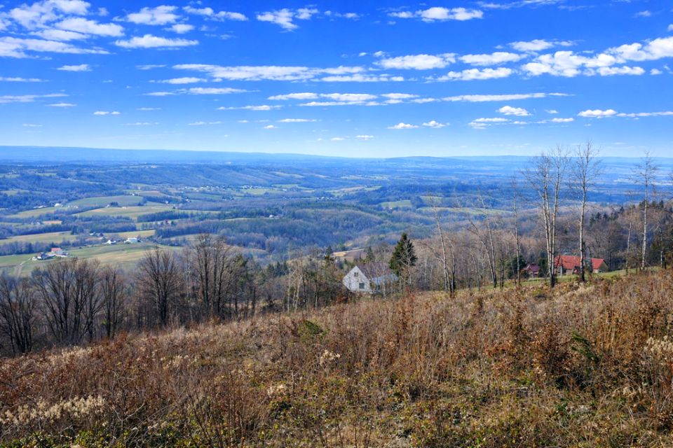 Działka Wola Lubecka