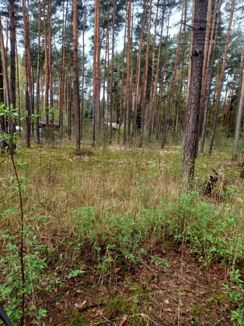 Działka rekreacyjna Siestrzeń