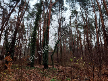 Działka budowlana Owczarnia