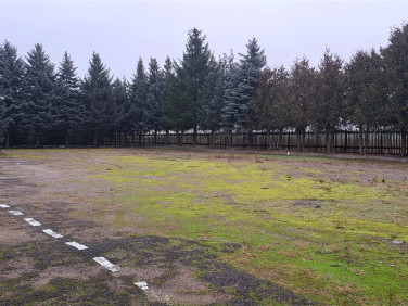 Pusta działka Żółtki