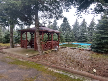 Działka usługowa Żółtki