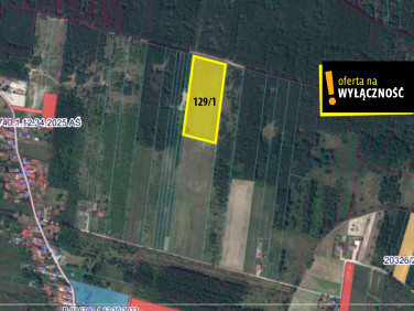 Działka rolna Jasień