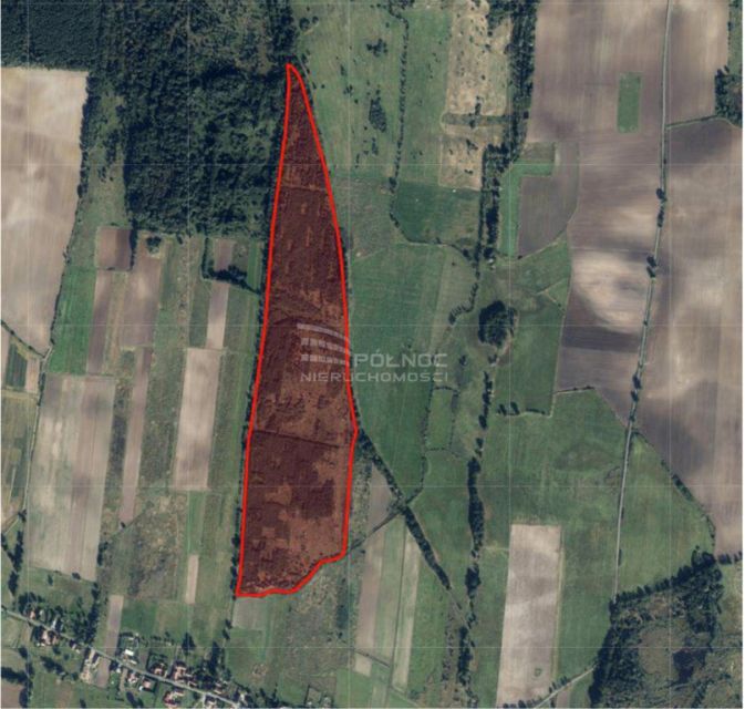 Działka leśna Grzymalin