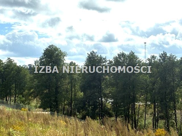 Działka rolna Grabnik