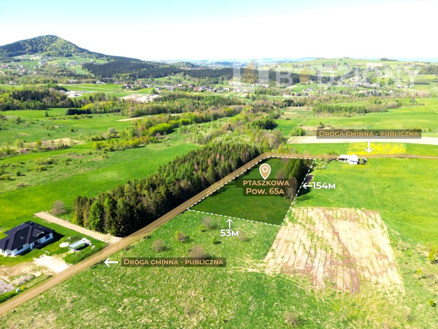 Działka budowlana Ptaszkowa