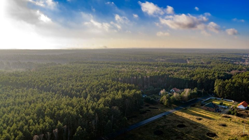 Działka budowlana Koty