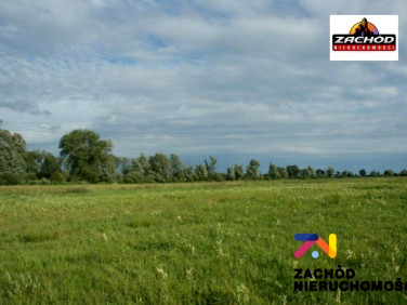 Działka budowlana Łupowo sprzedam