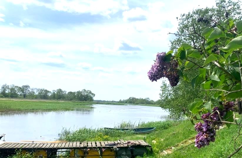 Działka Jackowo Dolne