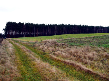 Działka rolna Ostroróg