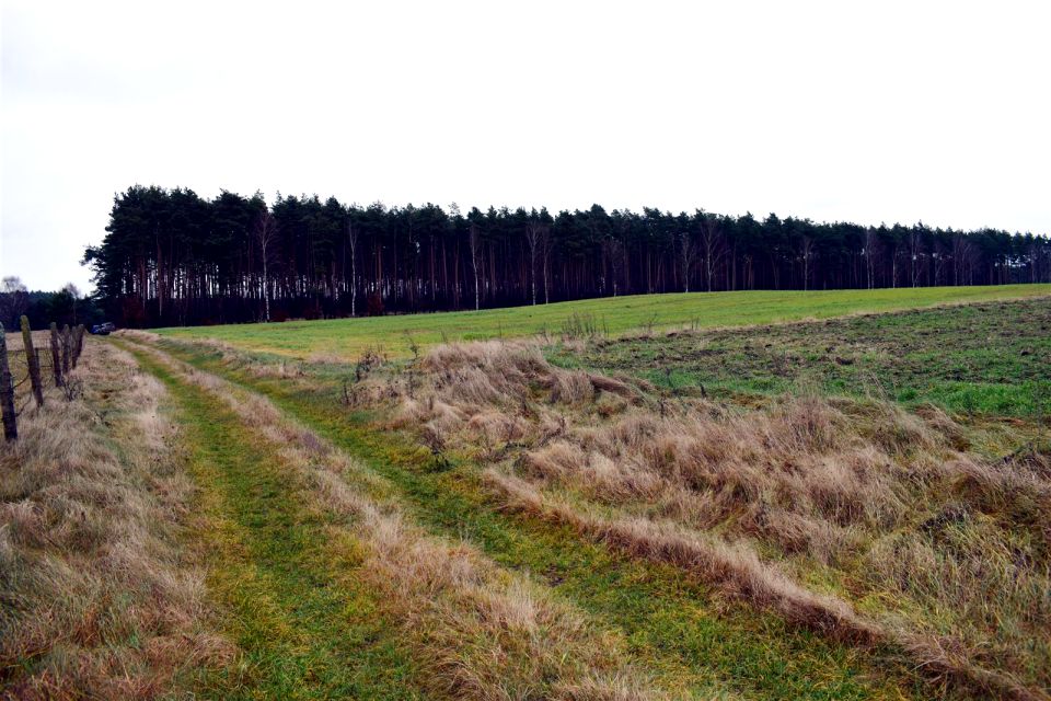 Działka rolna Ostroróg