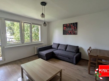 Mieszkanie Aleksandrów Kujawski wynajem