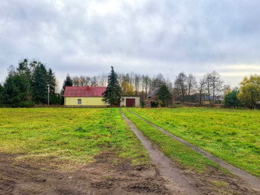 Działka Glinno