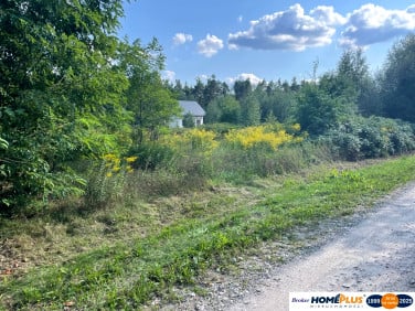 Działka przy lesie