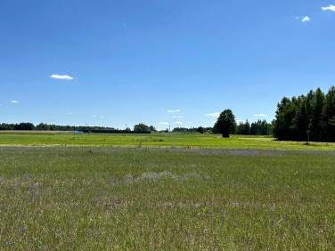 Działka rolna Nowosiółki