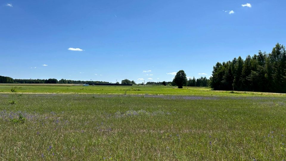 Działka rolna Nowosiółki