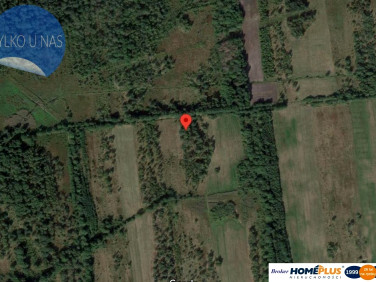 Działka rolna Mrozowa Wola