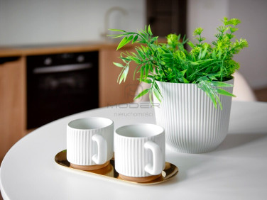 Mieszkanie Gorzów Wielkopolski