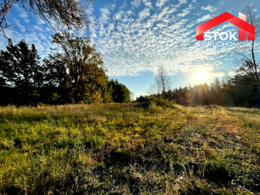 Działka budowlana Lewickie-Stacja