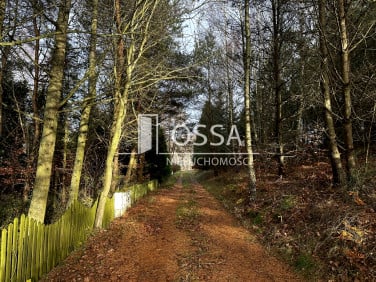 Działka rolna Kielno