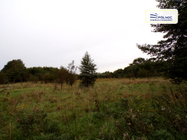 Działka rekreacyjna Machowino
