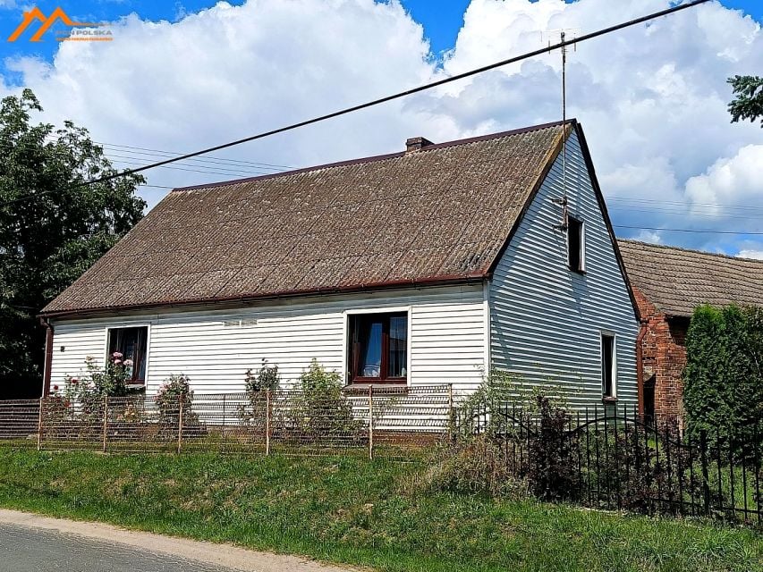 Zdjęcie 3