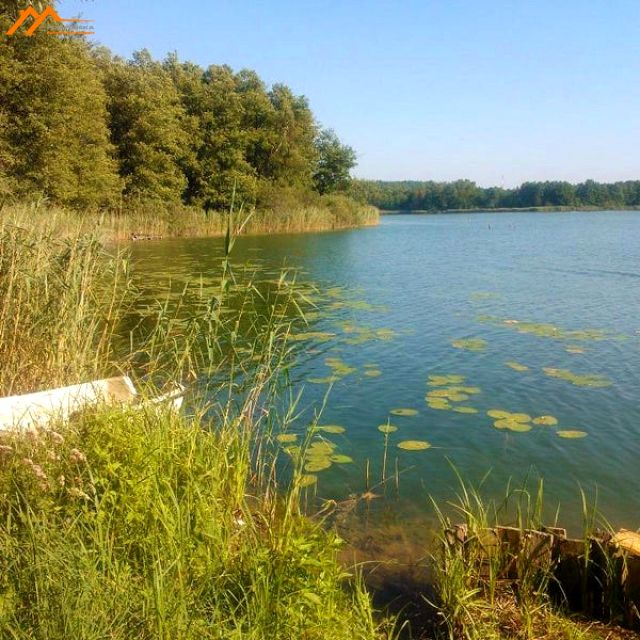 Działka leśna Mężyk