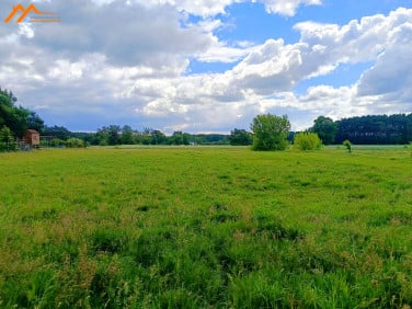 Działka budowlana Chojno-Wieś