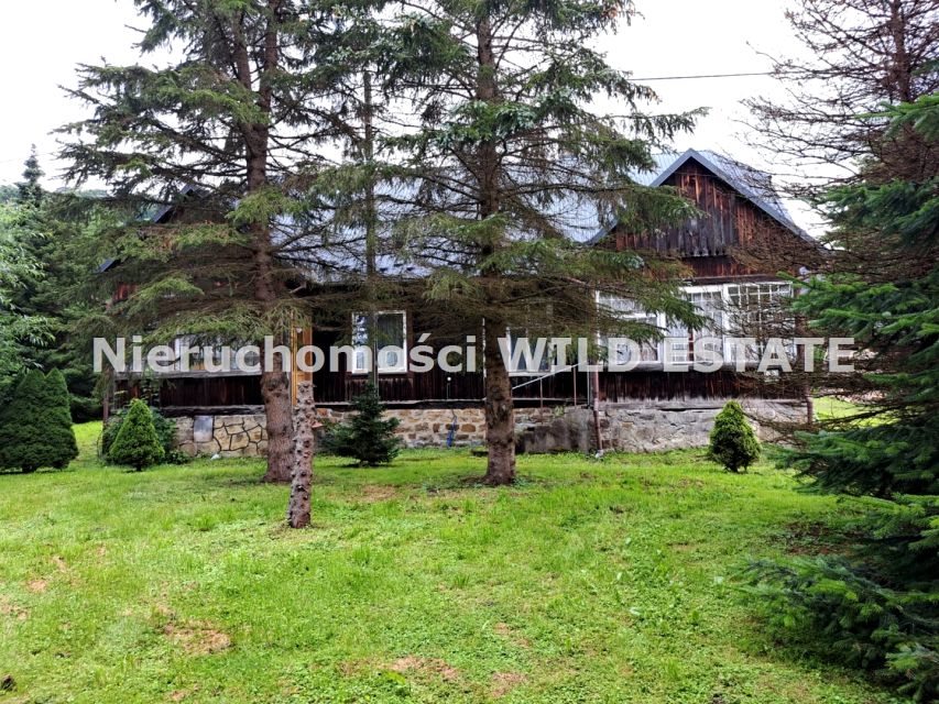 Dom wolnostojący sprzedaż