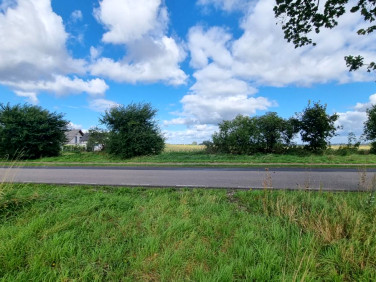 Działka inna Pszczółki sprzedam