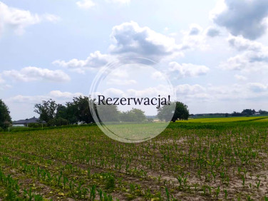 Działka budowlano-rolna sprzedam