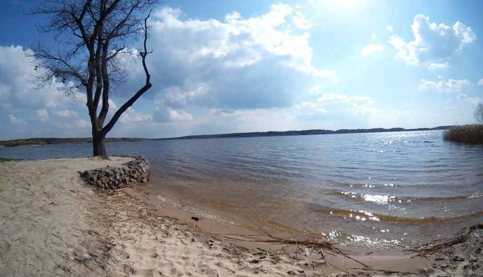 Działka rolna Daniszewice