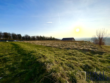 Działka budowlana Borek Stary