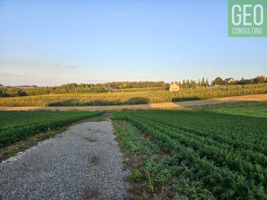 Działka Sieborowice