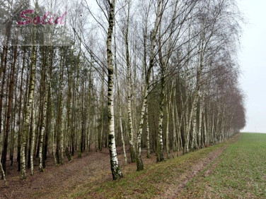 Działka budowlano-rolna Stawek