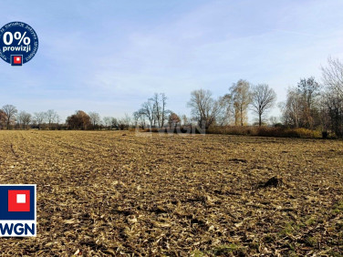 Działka Kuźnica Janiszewska