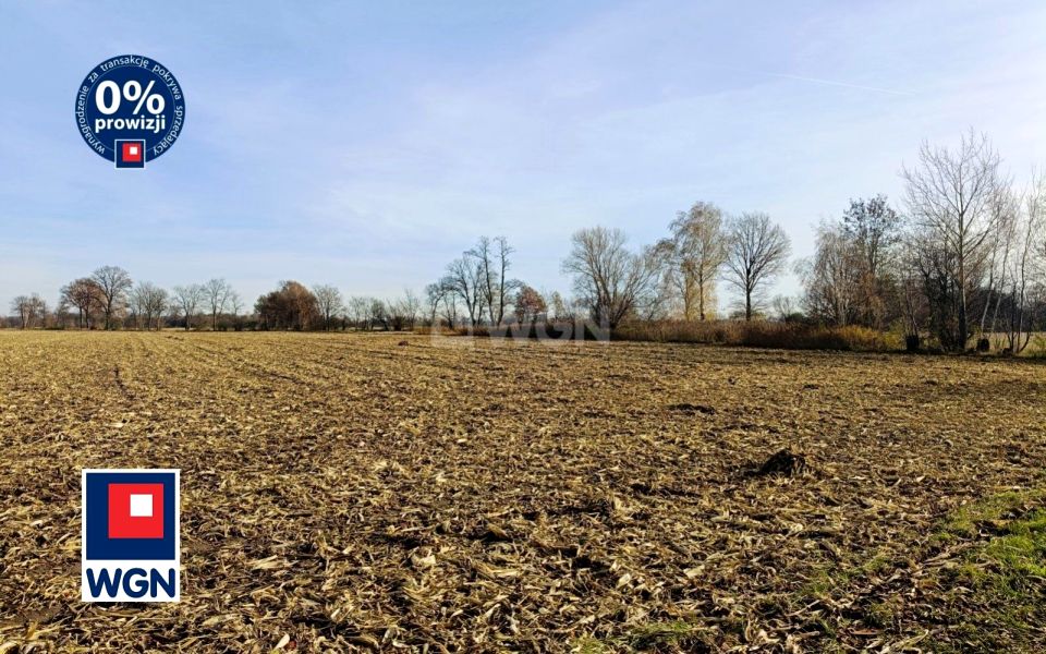 Działka Kuźnica Janiszewska