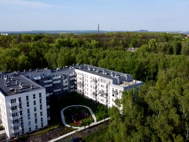 Mieszkanie przy lesie