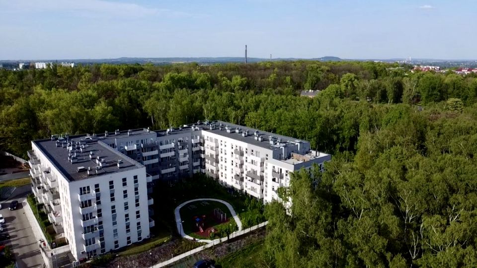 Mieszkanie przy lesie