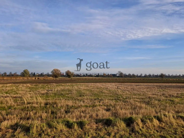 Działka siedliskowa Gdańsk