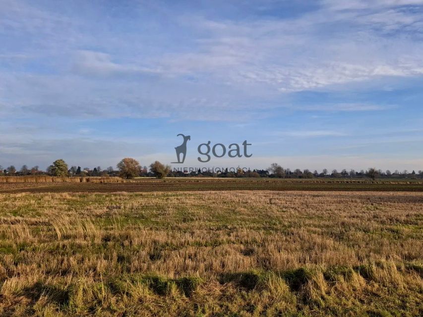 Działka siedliskowa Gdańsk