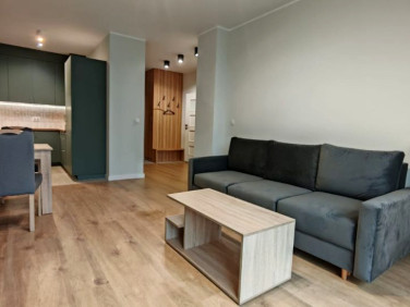 Mieszkanie Łódź sprzedaż