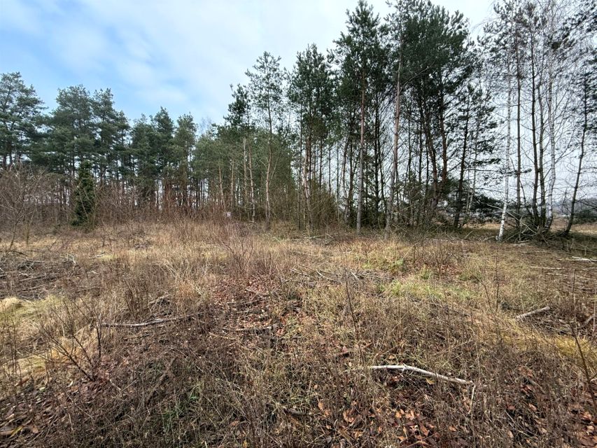 Działka budowlana Wólka Szczawińska