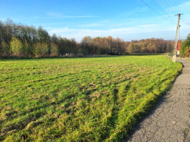 Działka budowlana Czaniec