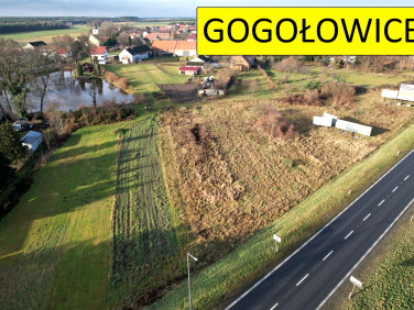 Działka usługowa Gogołowice