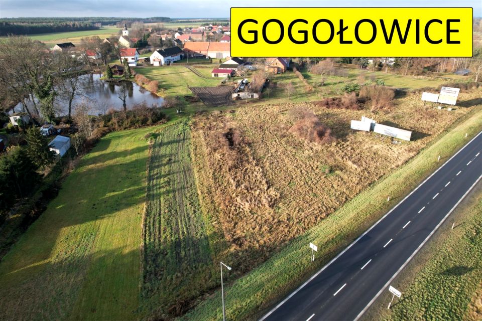 Działka usługowa Gogołowice