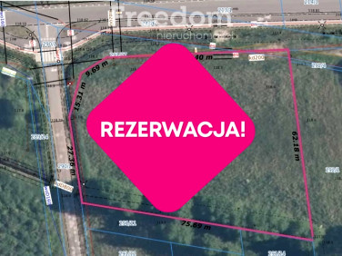 Działka Cisie