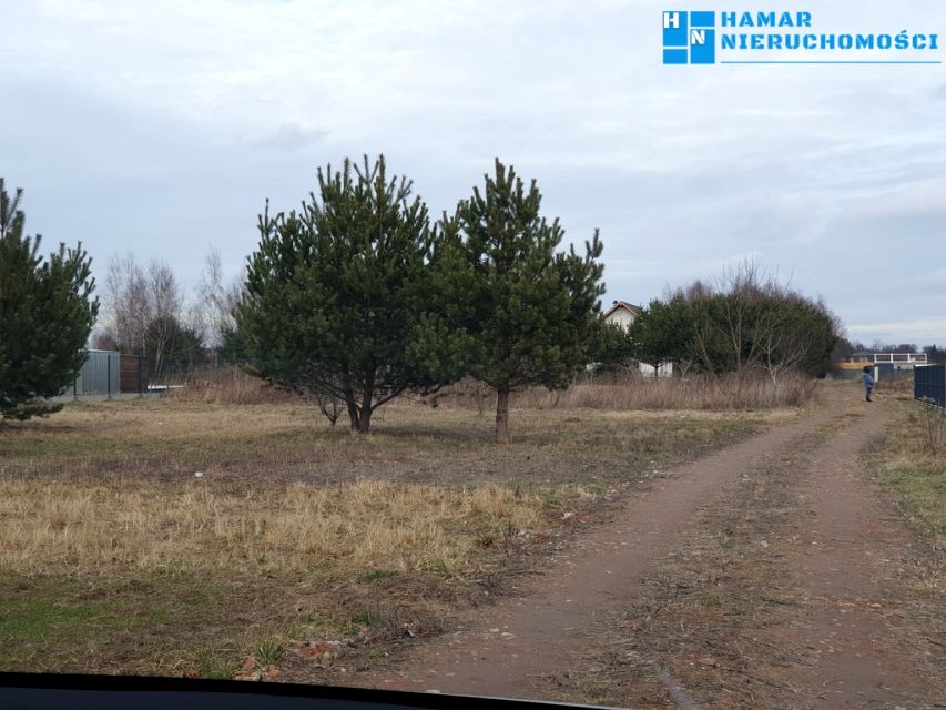Działka przy lesie